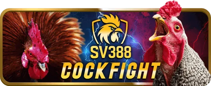 Chương trình VIP Win555