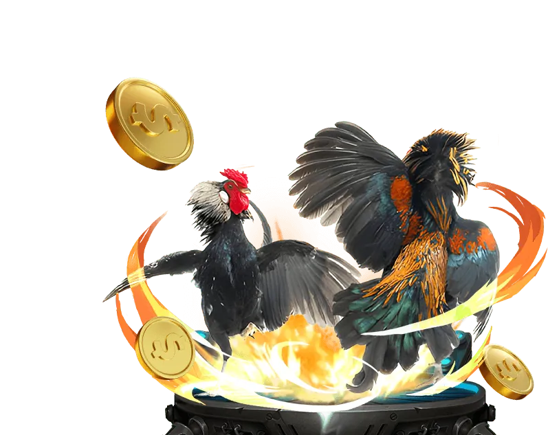 Tổng quan về nền tảng cá cược win555